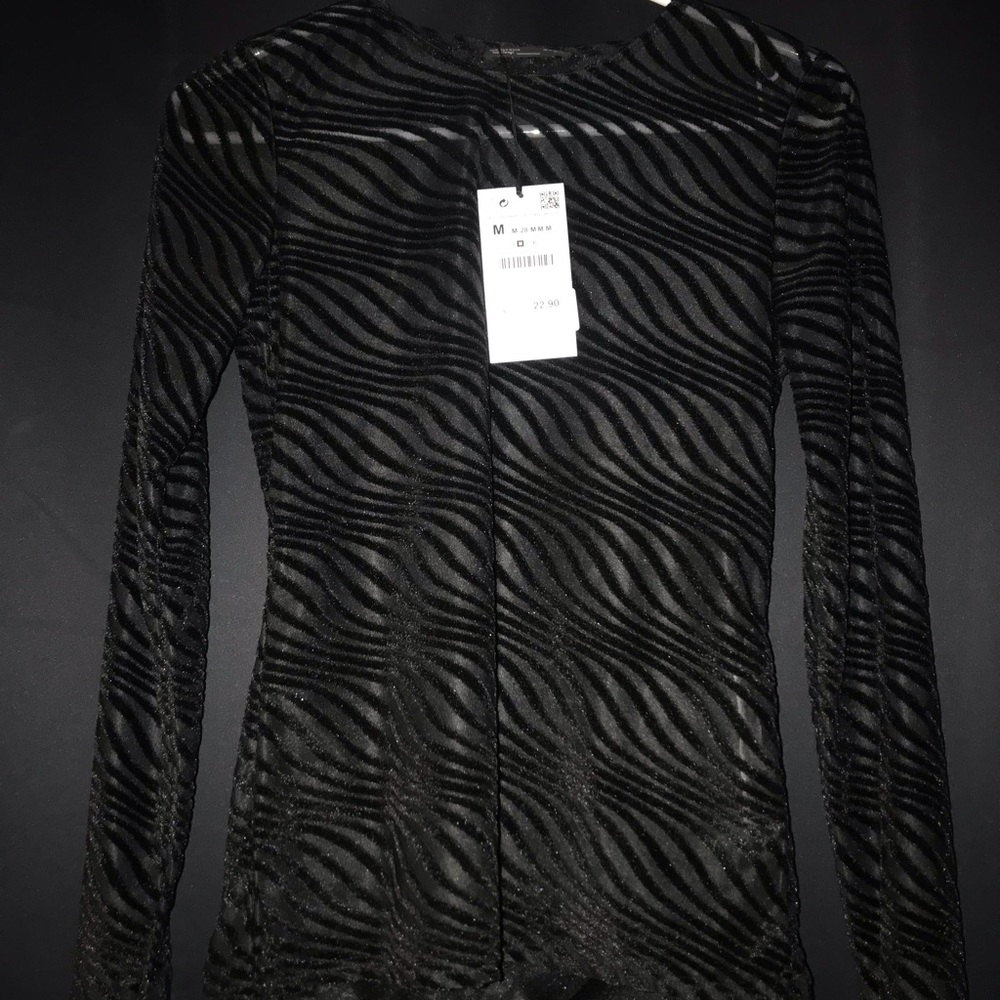 ZARA sheer/velvet top